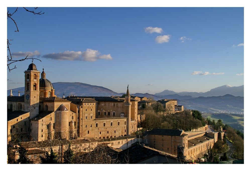 Urbino un anno dopo