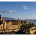 Urbino un anno dopo