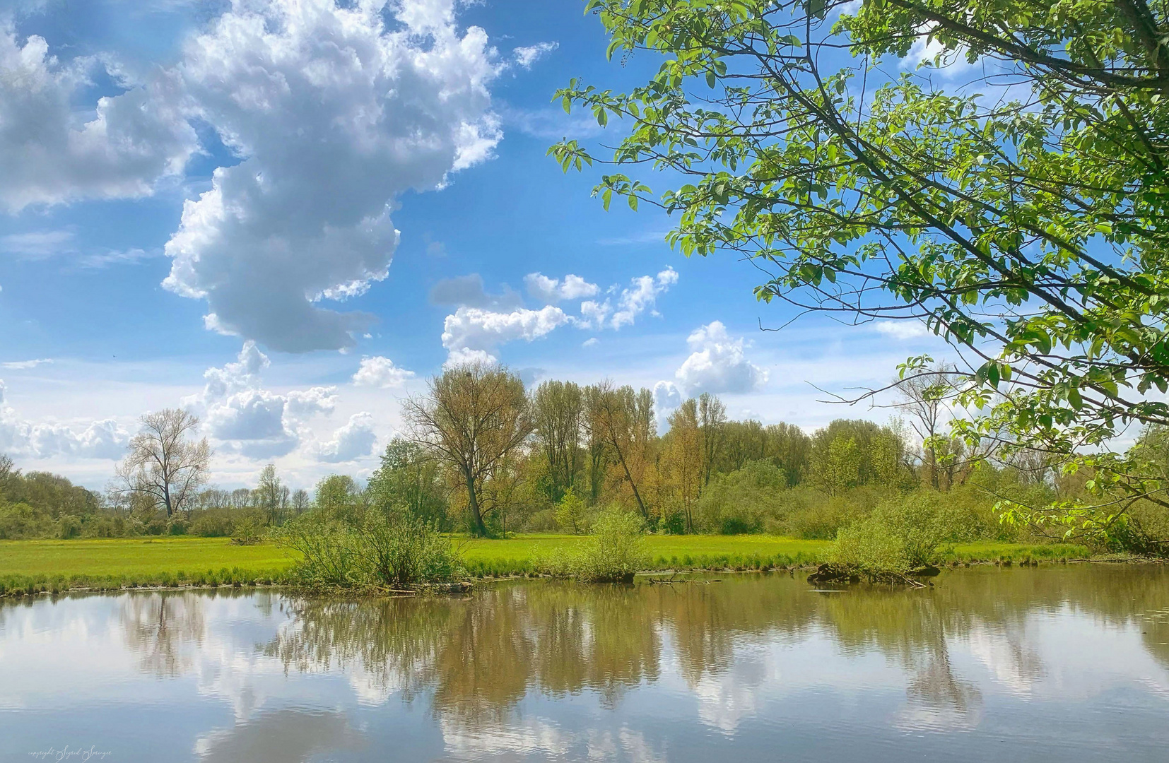 Urdenbacher Kämpe Foto & Bild | spezial, natur, landschaft Bilder auf ...