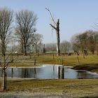 Urdenbacher Kämpe bei Hochwasser