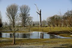 Urdenbacher Kämpe bei Hochwasser