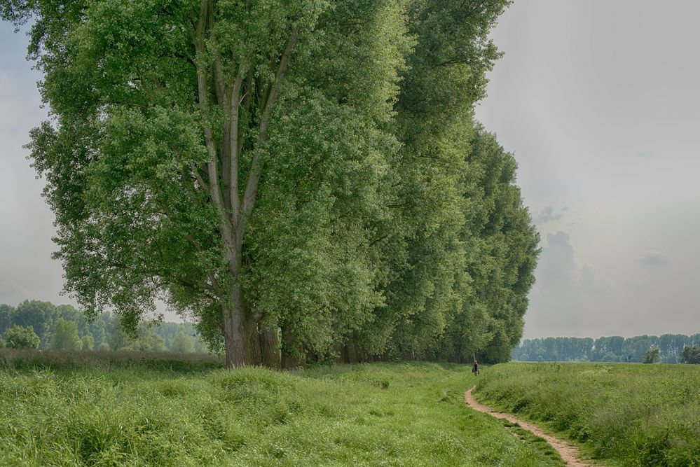 Urdenbacher Kämpe, Düsseldorf