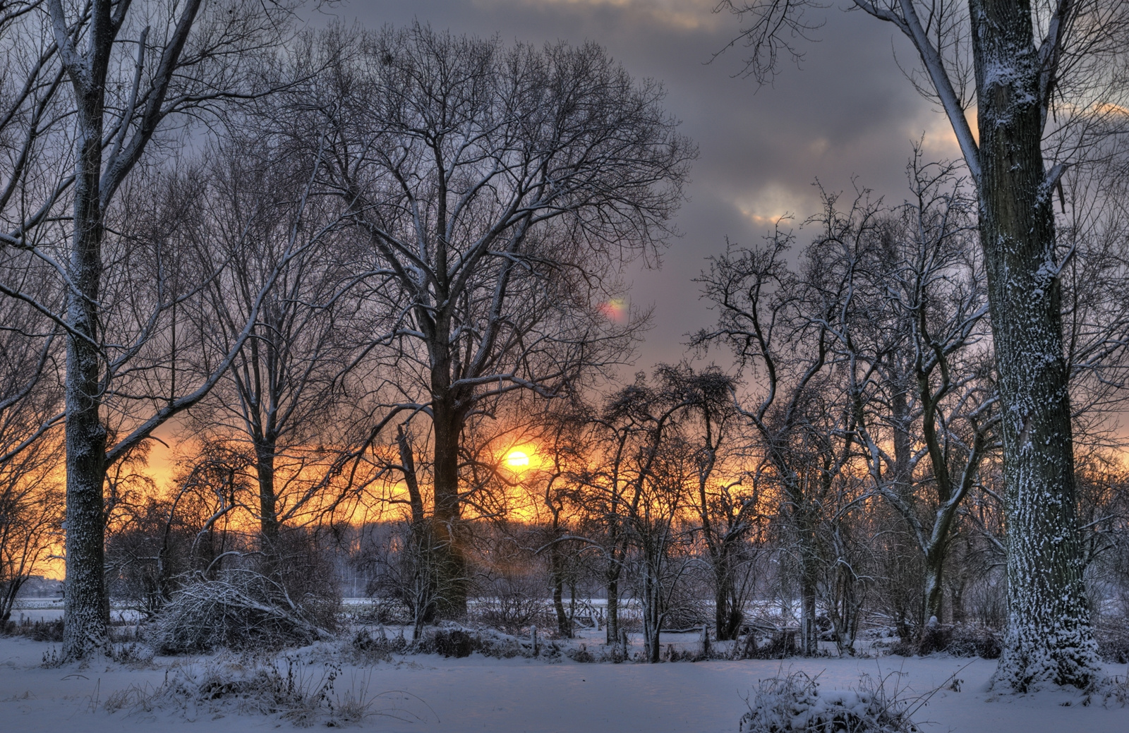 Urdenbacher Rheinaue