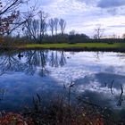 Urdenbacherkämpe Düsseldorf/ alter Rheinarm