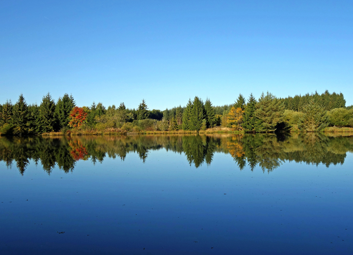 Urftweiher