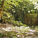 Urgestein der Rübelandbahn... I