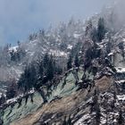 Urgestein Felsen im Schnee