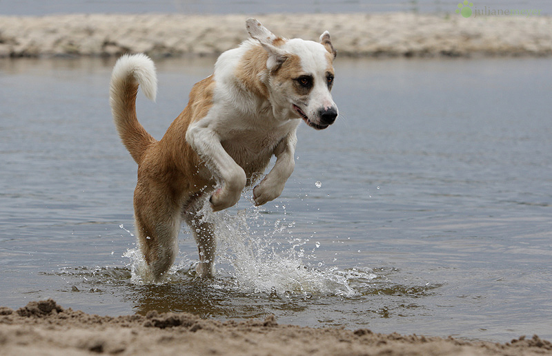 Urgs ...Wasser!