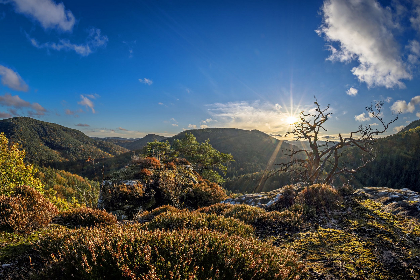 Urig Foto & Bild natur, landschaft, germany Bilder auf