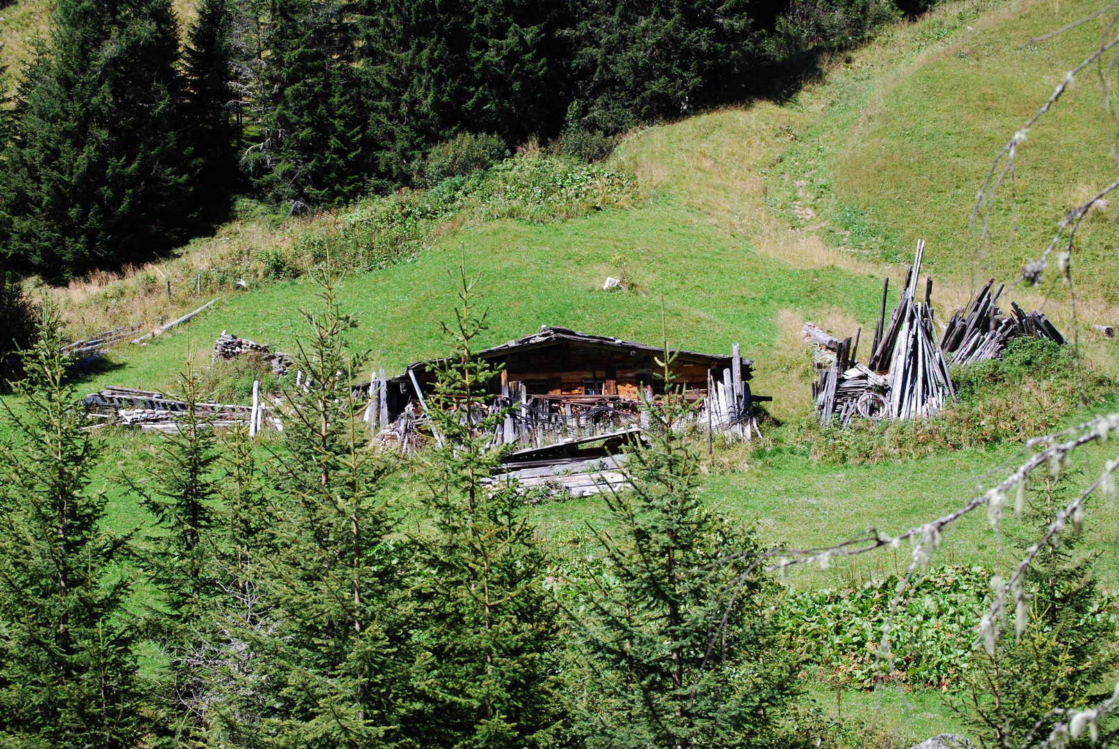 Urige Almhütte