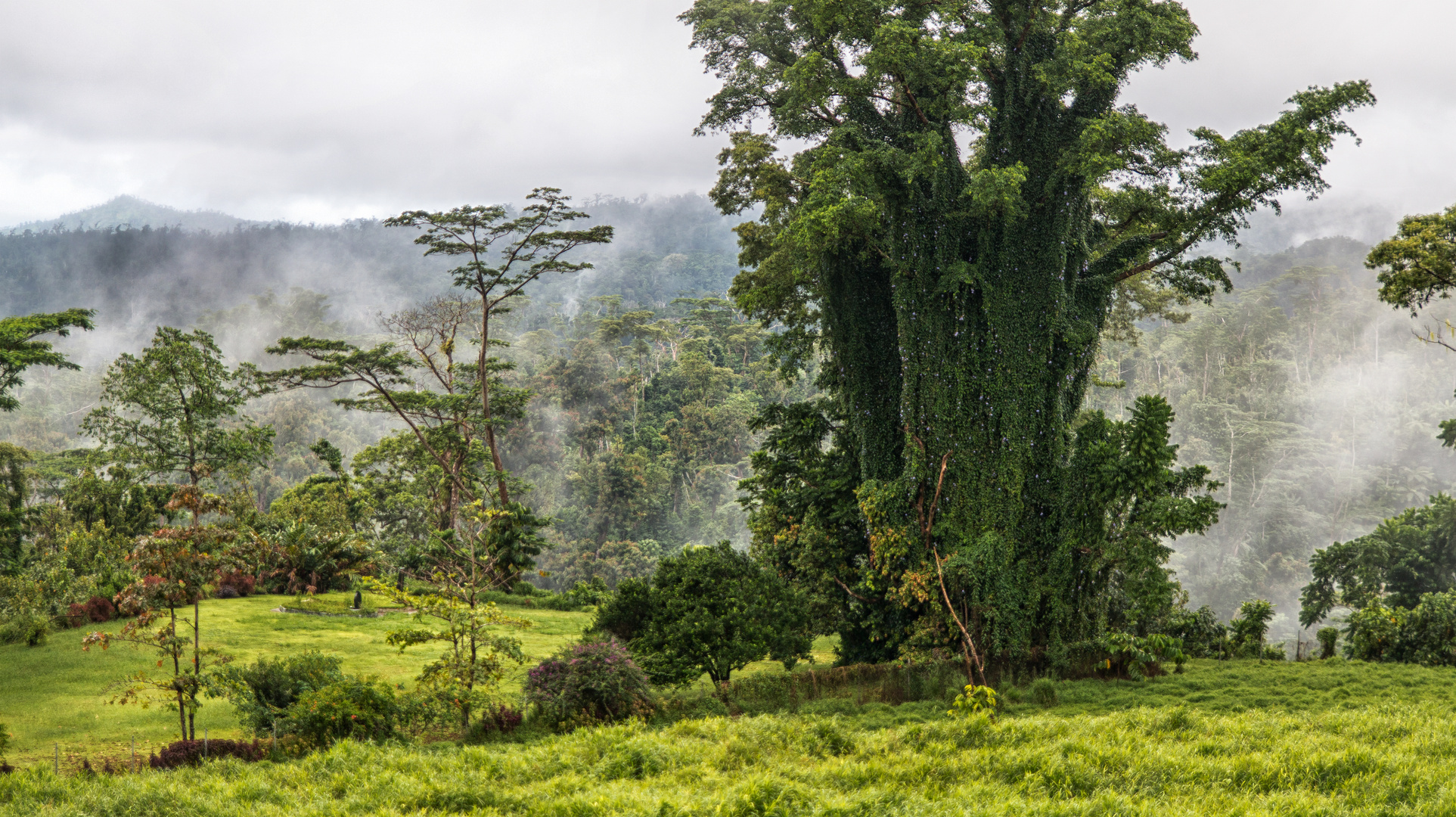 Urige Landschaft auf Samoa