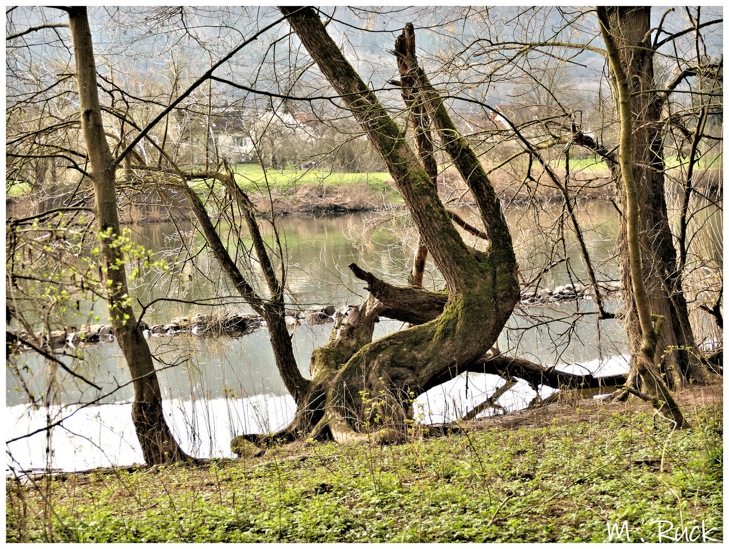 Uriges am Mainufer 