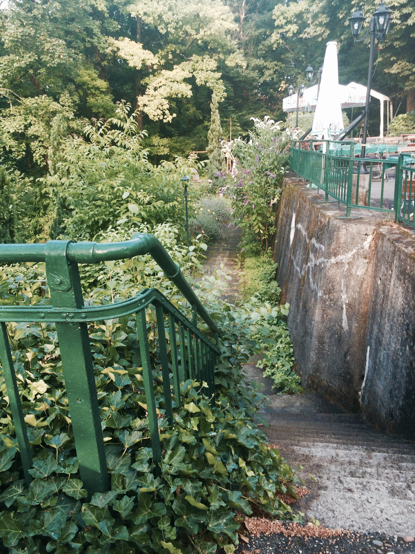 Uriges im Grünen