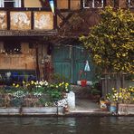 Uriges Plätzchen an der Regnitz