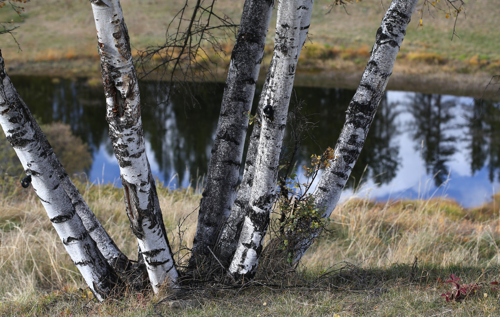 Urlandschaft 