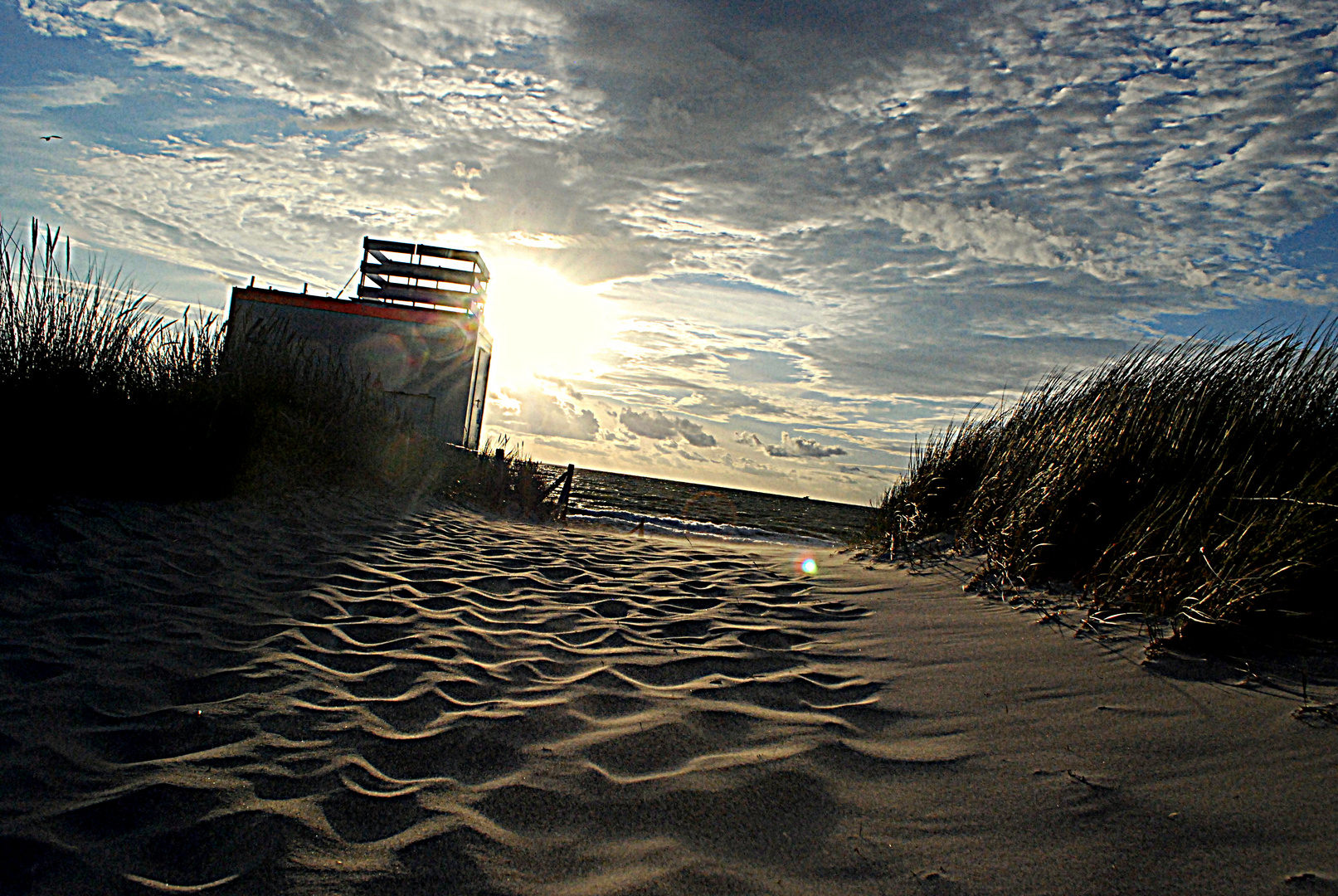 Urlaub 2013 Markgrafenheide (2)