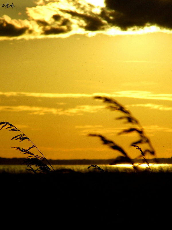 Urlaub 2014 - Uesdom - Achtern Wasser - Loddin Sundown