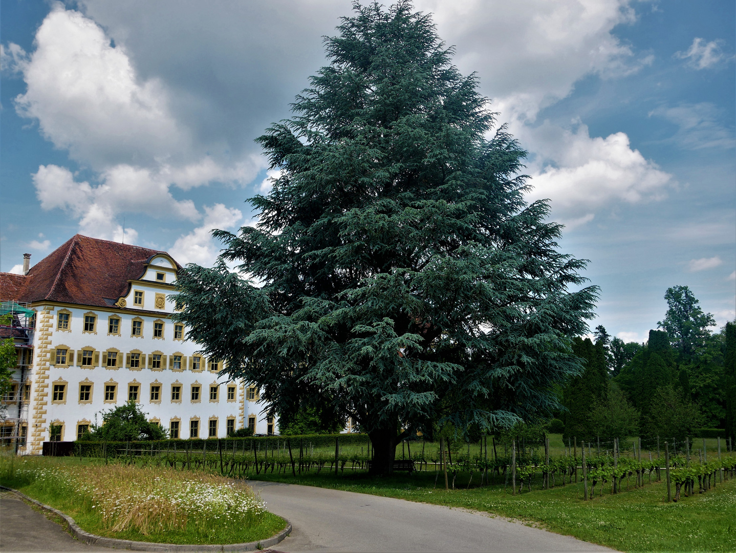 Urlaub 2021 Am Bodensee - Alte Klosterschule Salem mit Schauweinberg