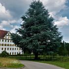 Urlaub 2021 Am Bodensee - Alte Klosterschule Salem mit Schauweinberg