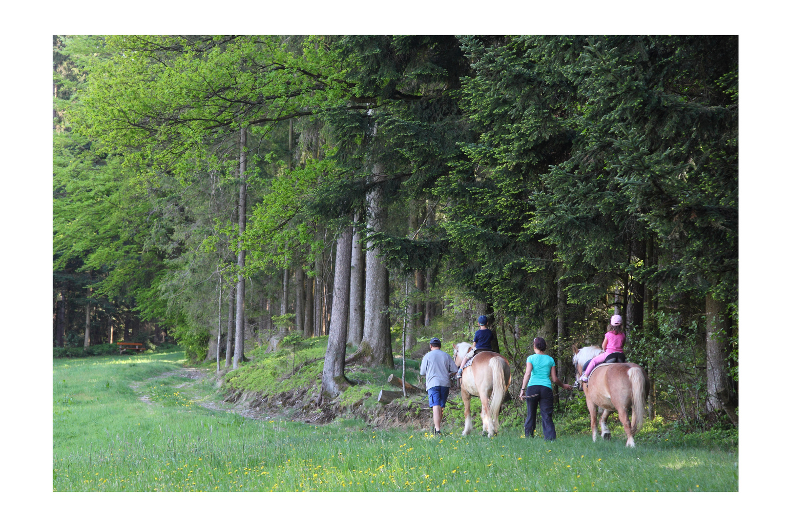 Urlaub am Bauernhof 1