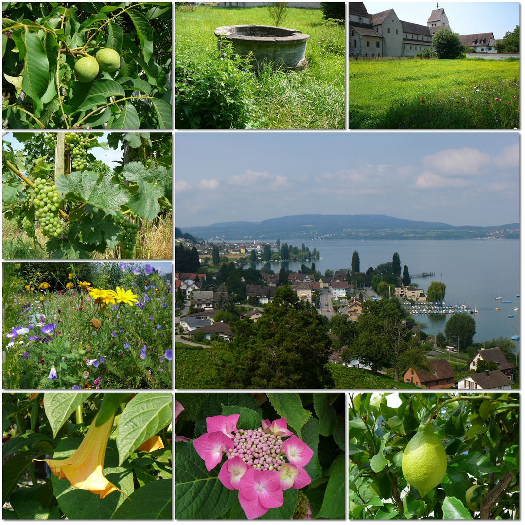 Urlaub am Bodensee...