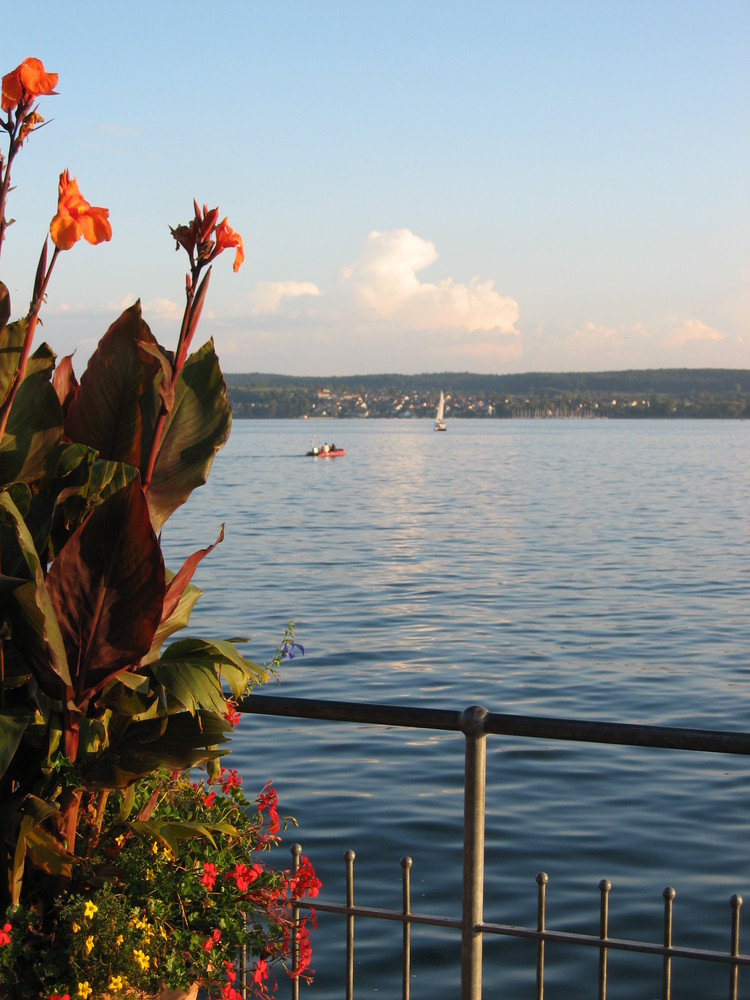 Urlaub am Bodensee