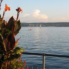 Urlaub am Bodensee