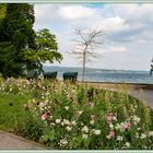 Urlaub am Bodensee