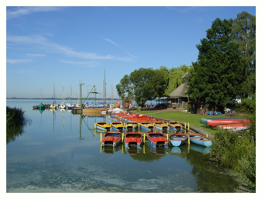 Urlaub am Dümmer