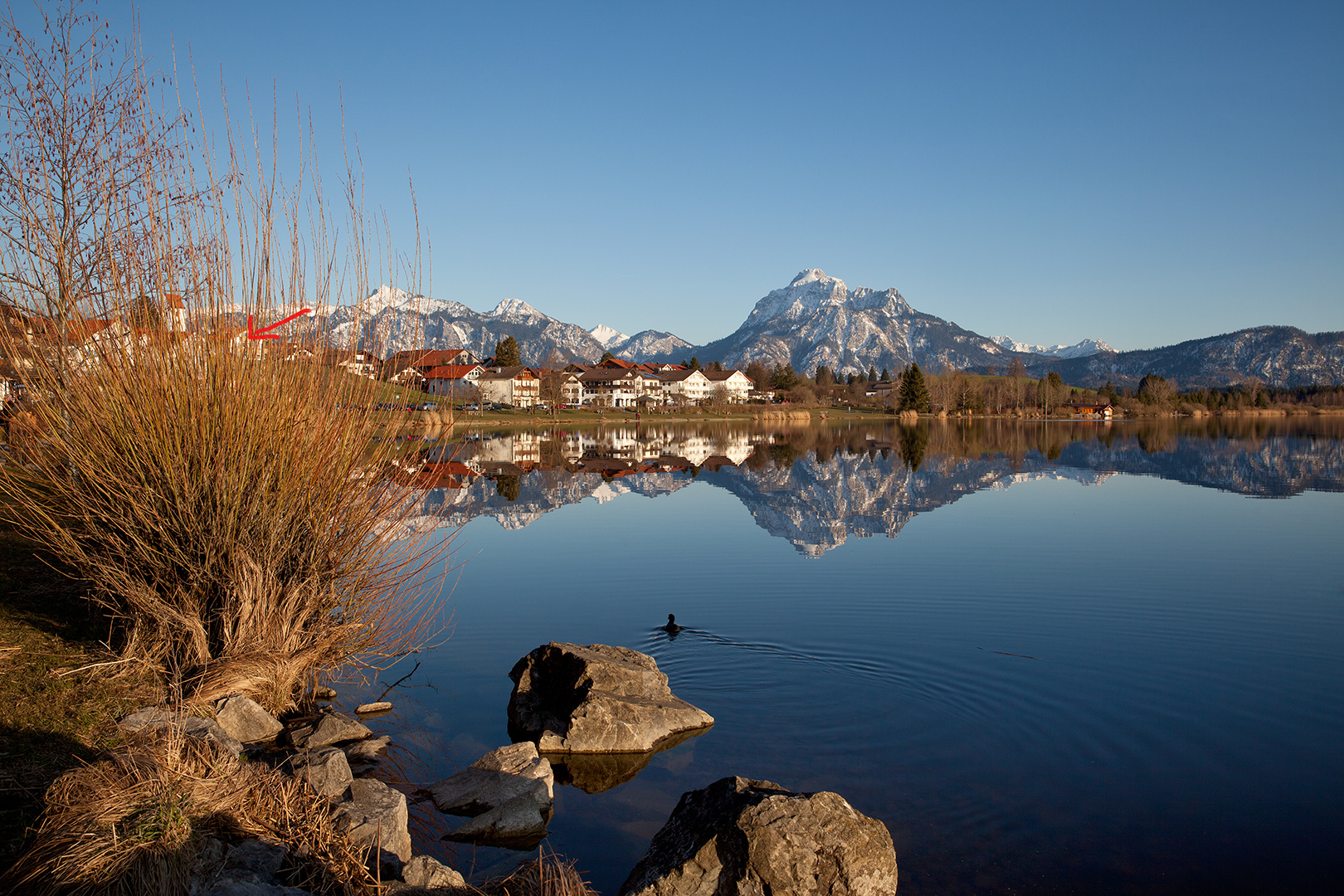 Urlaub am Hopfensee