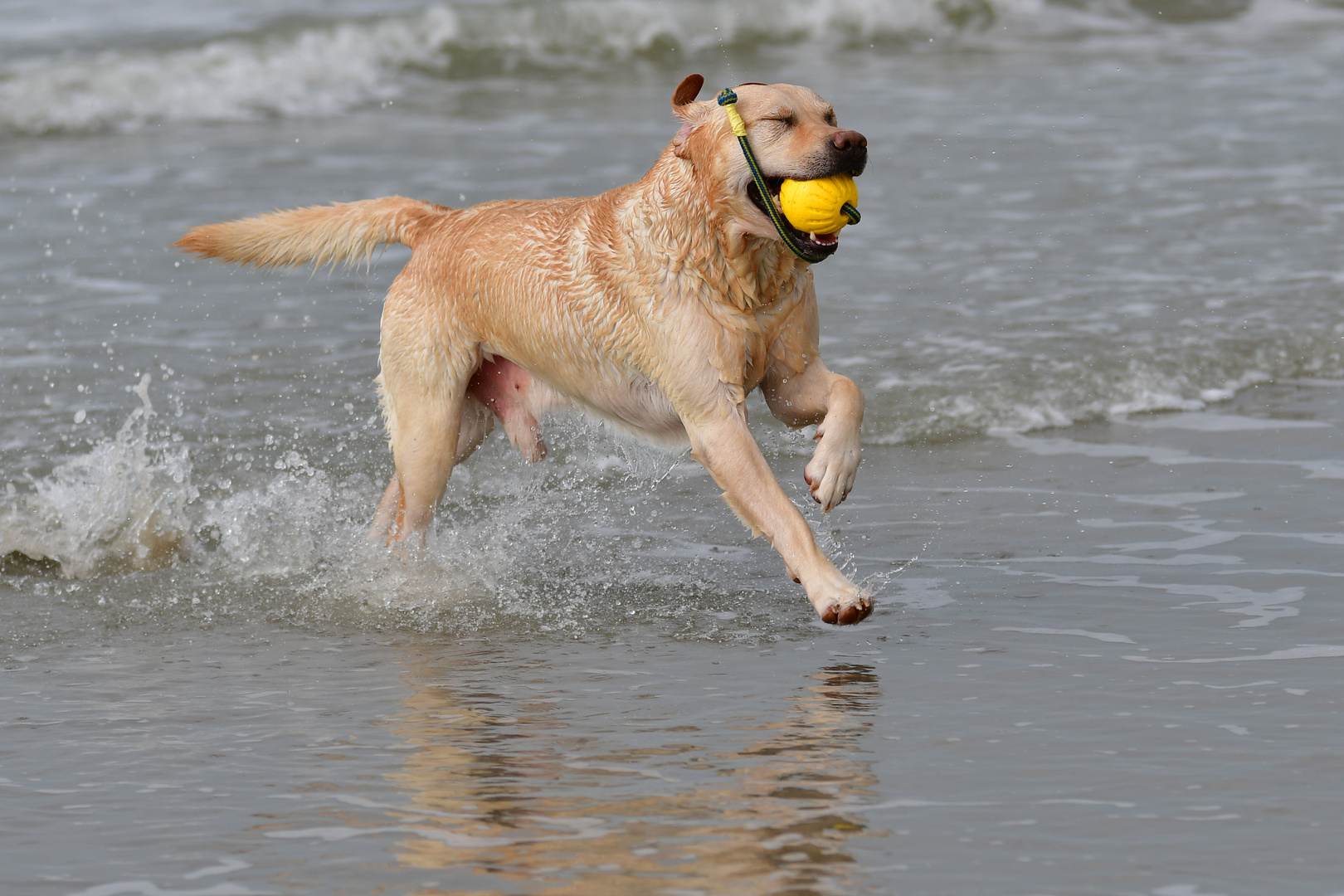 Urlaub am Meer