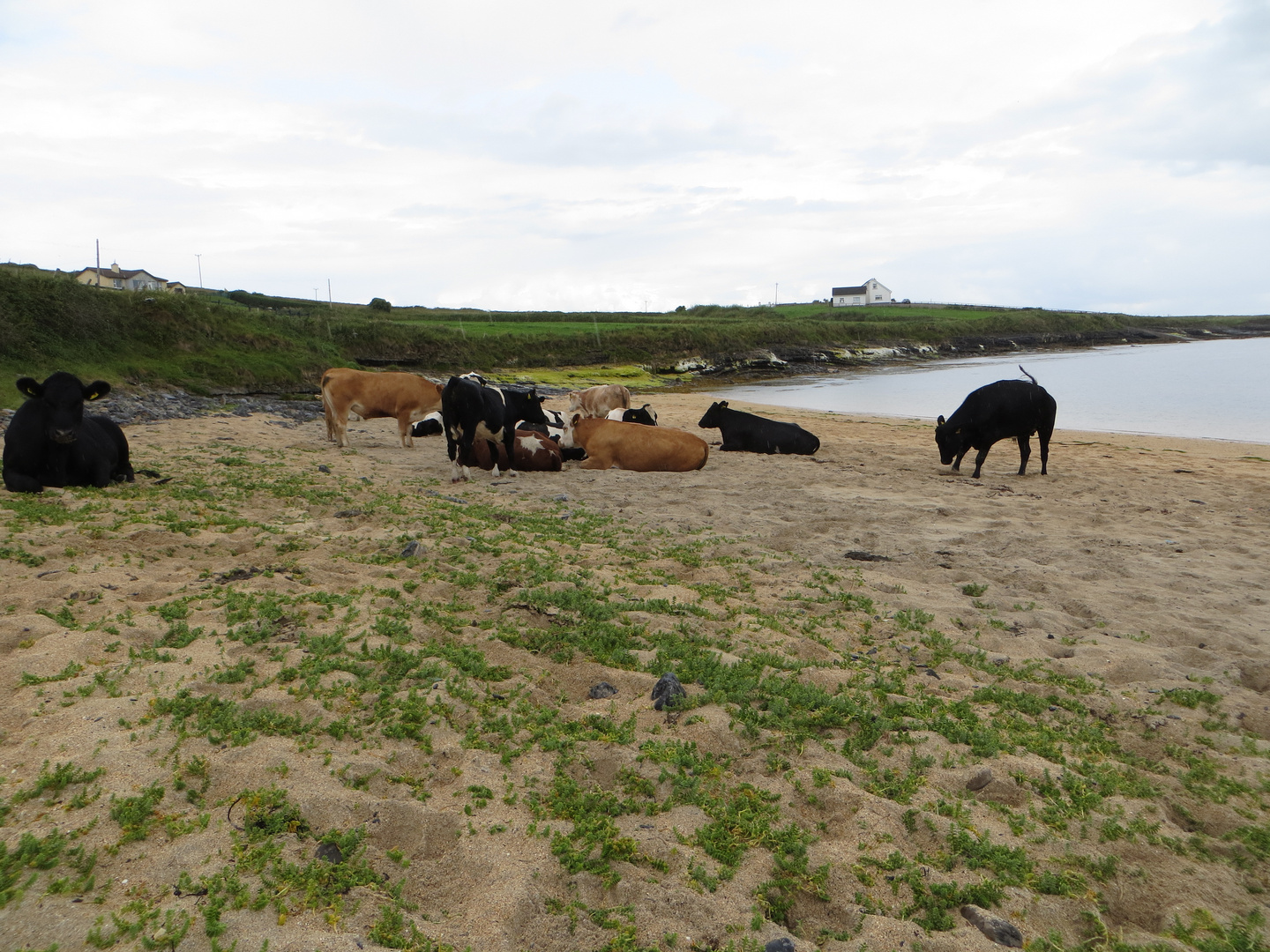 Urlaub am Strand