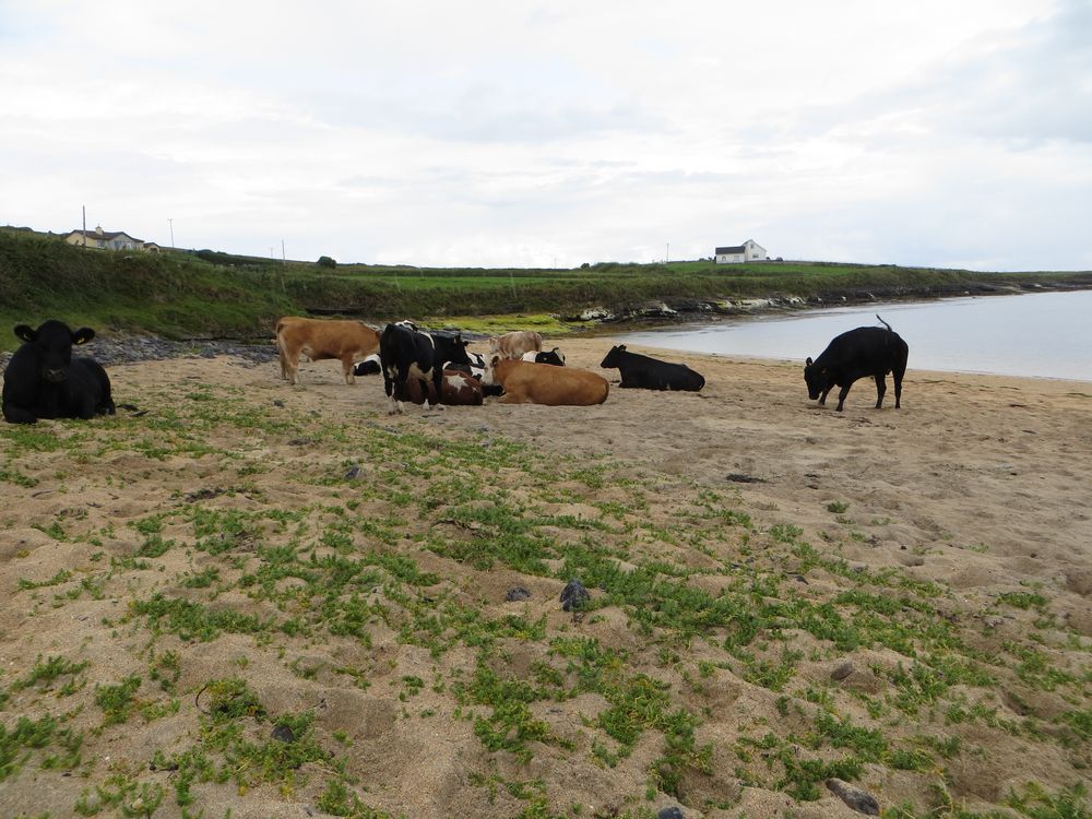 Urlaub am Strand