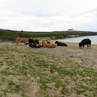 Urlaub am Strand