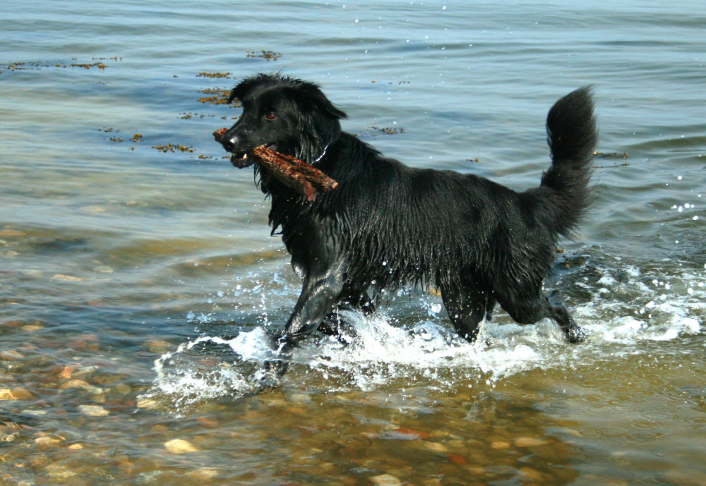 Urlaub am Strand