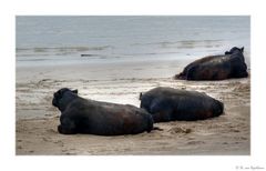 Urlaub am Strand