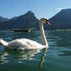 Urlaub am Wolfgangsee