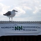 Urlaub an der Nordsee 2012