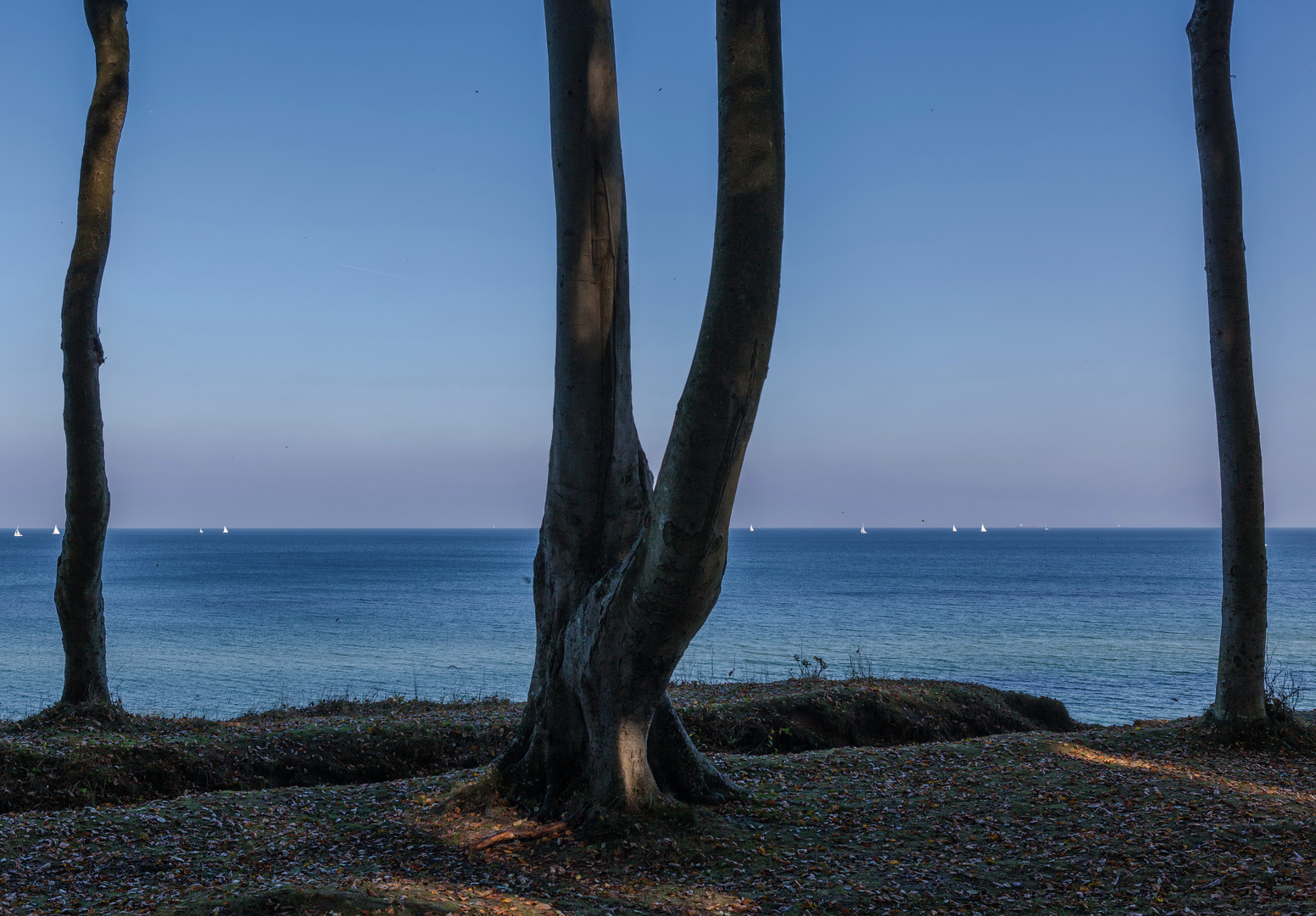 Urlaub an der See