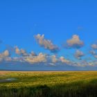 Urlaub auf Amrum