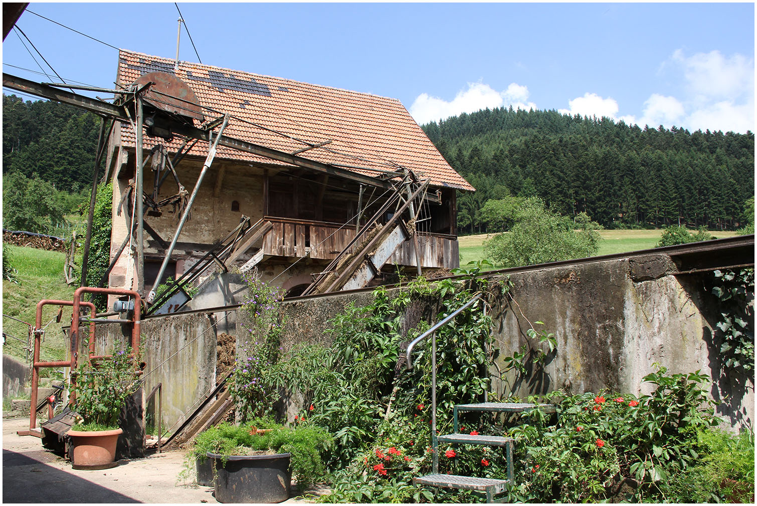 Urlaub auf dem Bauernhof.....