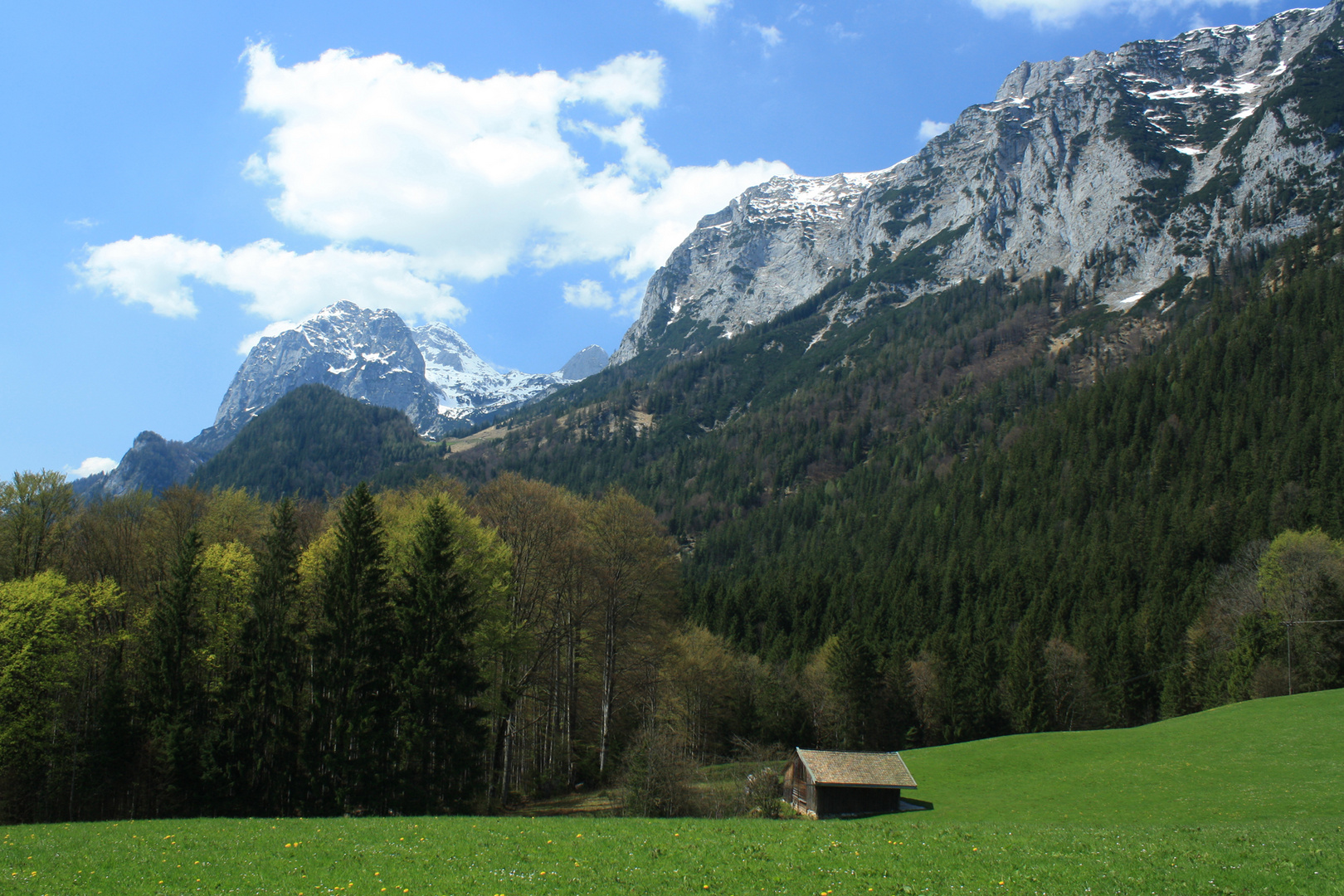 Urlaub auf dem Bauernhof !?