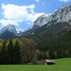 Urlaub auf dem Bauernhof !?