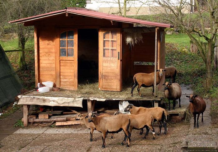 Urlaub auf dem Bauernhof - Ferienwohnung gemietet