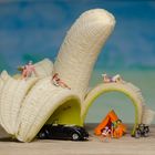 Urlaub auf den Bananas-Inseln?