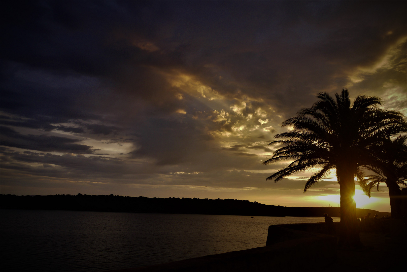 Urlaub auf der Insel Rab 2016 - Palmen und Sonnenuntergang