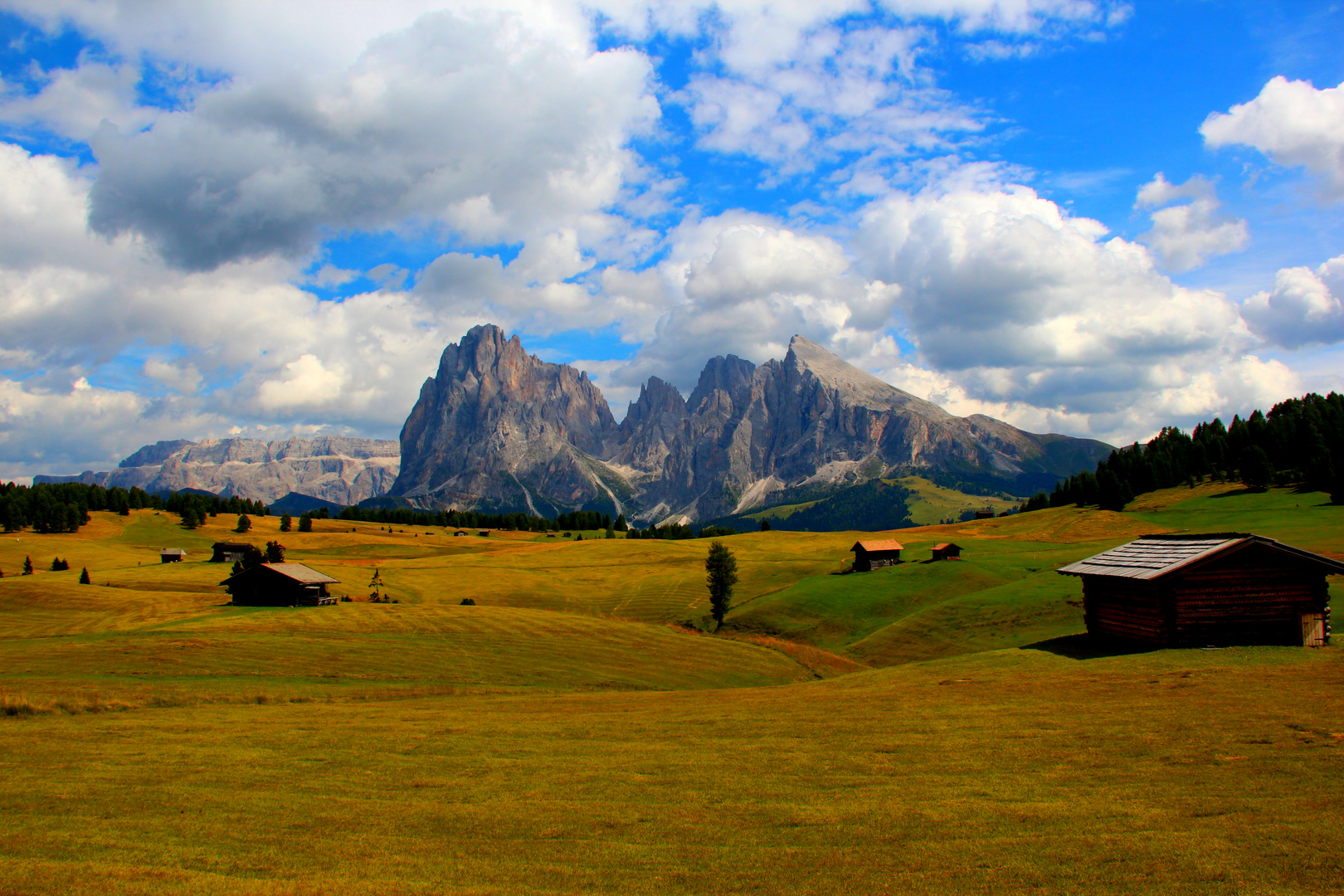 Urlaub auf der Seiseralm