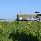 Urlaub auf HIDDENSEE