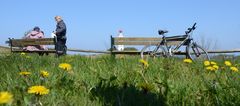 Urlaub auf HIDDENSEE