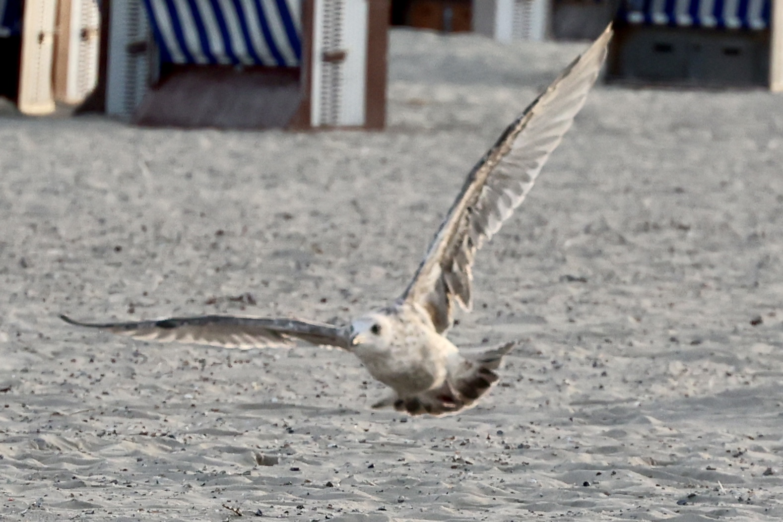 Urlaub auf Norderney 